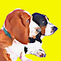 Janis and Pleun - Adorable Basset hounds