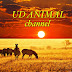 UD ANIMAL channel