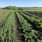 Fresh Picked Acres of Kansas