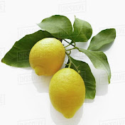 My Citrus Orchard