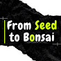 From Seed to Bonsai