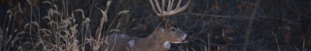 Midwest Whitetail Daily Blogs Banner