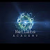 logo NetLabs Academy 