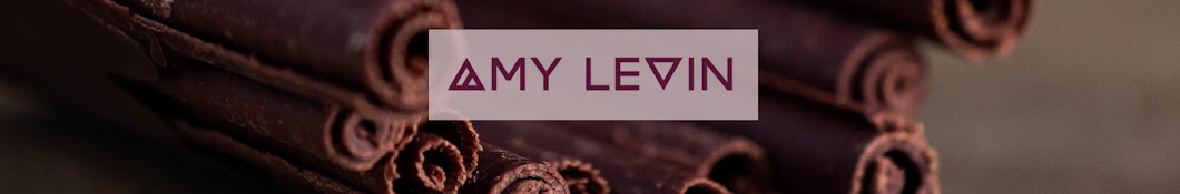 Amy Levin Banner
