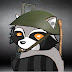 logo TheCrazyRaccoon 