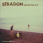 Sebadoh - Topic