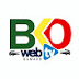 BAMAKO WEB TV