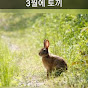 3월에 토끼 (Rabbit in March)