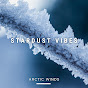 Stardust Vibes - Topic