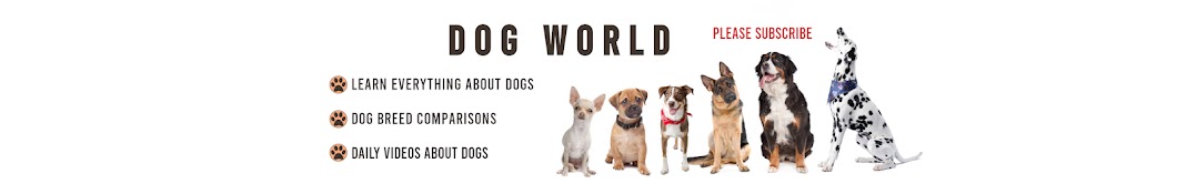 Dog World Banner