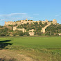 Agricultura no Baixo Mondego