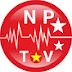 Nippon Pulse TV