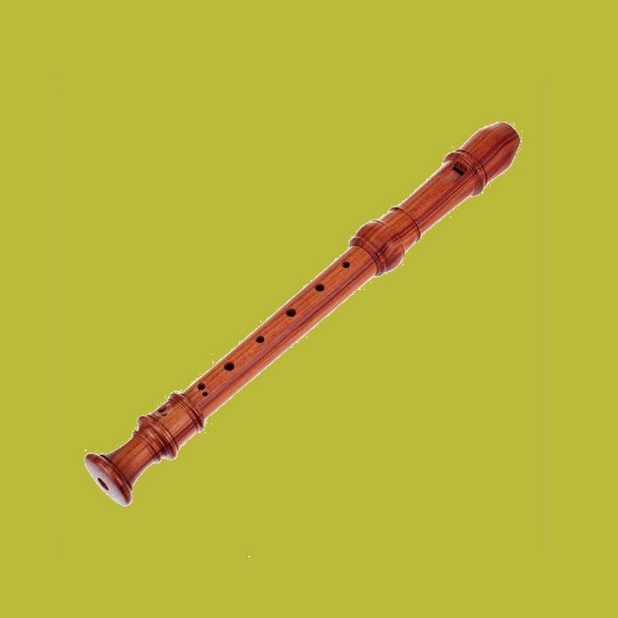Lezioni di flauto per tutti