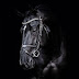 Black Equine