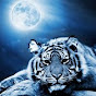 MoonTiger