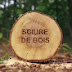 sciure de bois