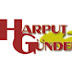 Harput Gündem