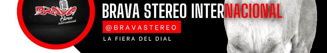 Brava Stereo Internacional