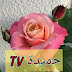 حميدة tv