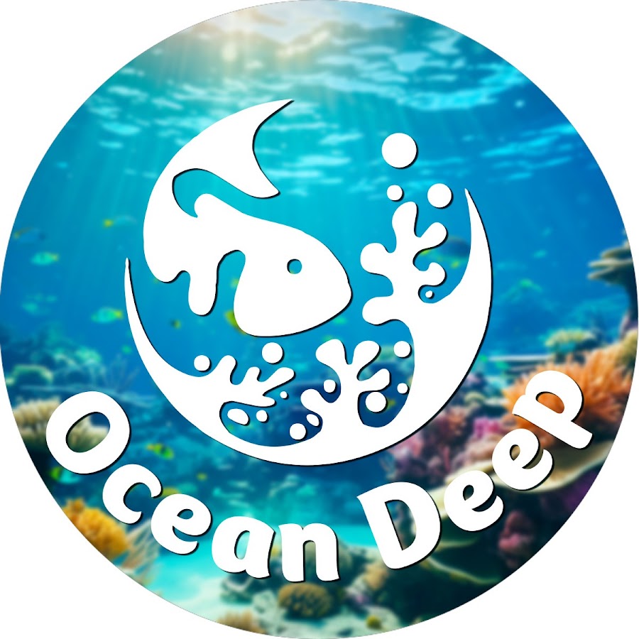 Ready go to ... https://www.youtube.com/channel/UCluQS86jq7bs7IYZwTFCthw [ Ocean Deep]