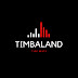 logo Timbaland Type Beats