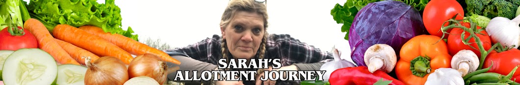 Sarah’s Allotment journey 