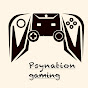 Psynation gaming 