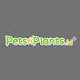 Pets N Plants Indonesia