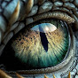 Dragon eye