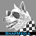 SnapMedia