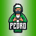 PEDROGAMES 