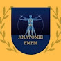 ANATOMIE FMPM