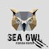 Sea owl