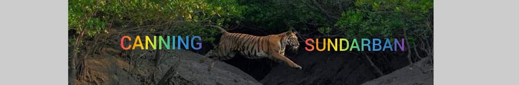 Canning Sundarban