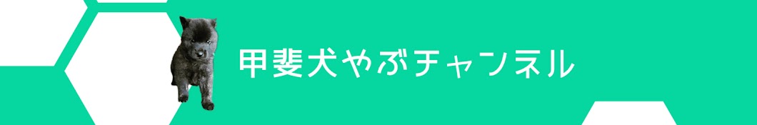 甲斐犬「やぶ」チャンネル