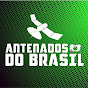 Antenados do Brasil