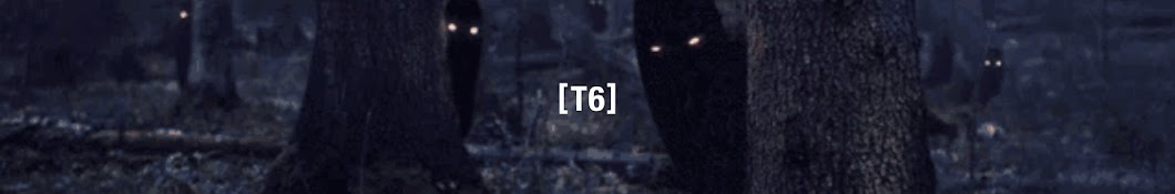 T6 Archives Banner