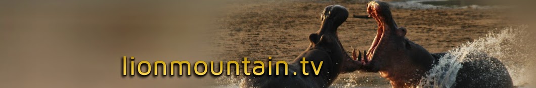 Lion Mountain TV