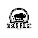 Bison Ridge LLC - Outdoor Wood Boilers