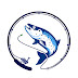 logo Lake Michigan Angler