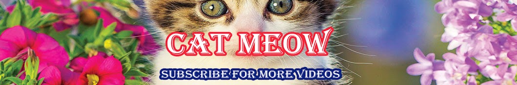 CAT MEOW Banner