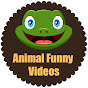 Funny Animal Videos youtube avatar