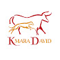 kmara David