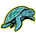 logo G_Turtle