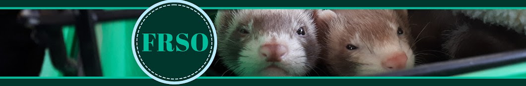 The Ferret Rescue Society of Ottawa