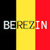 logo berezin. be