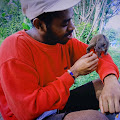 Artist Thumbnail