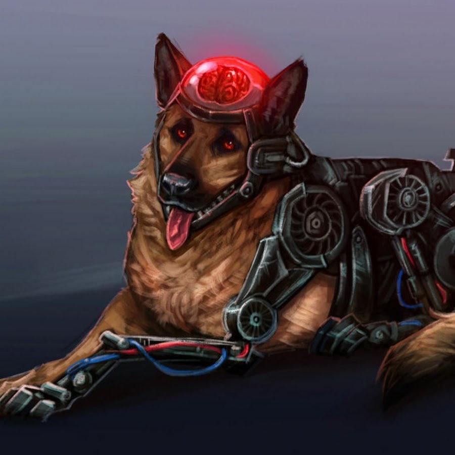 Cyberpunk black dog фото 62