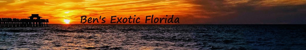 Ben's Exotic Florida