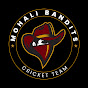 Mohali Bandits